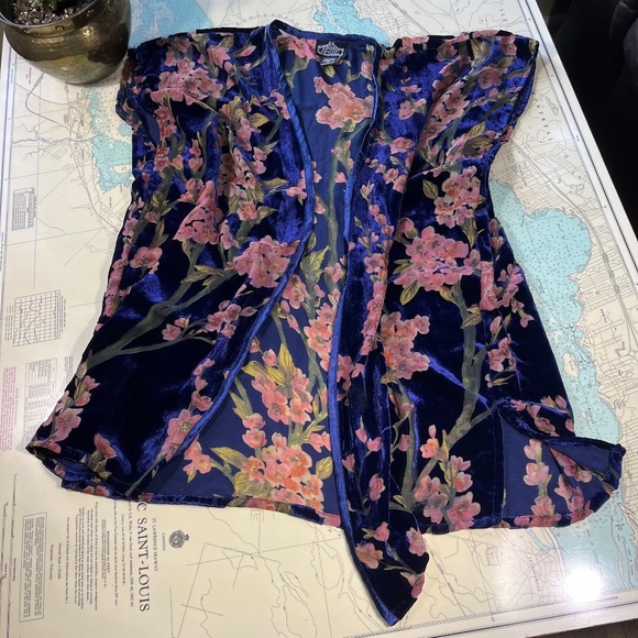 Vintage Sheer & Velvet Floral Cardigan - Picture 3 of 4